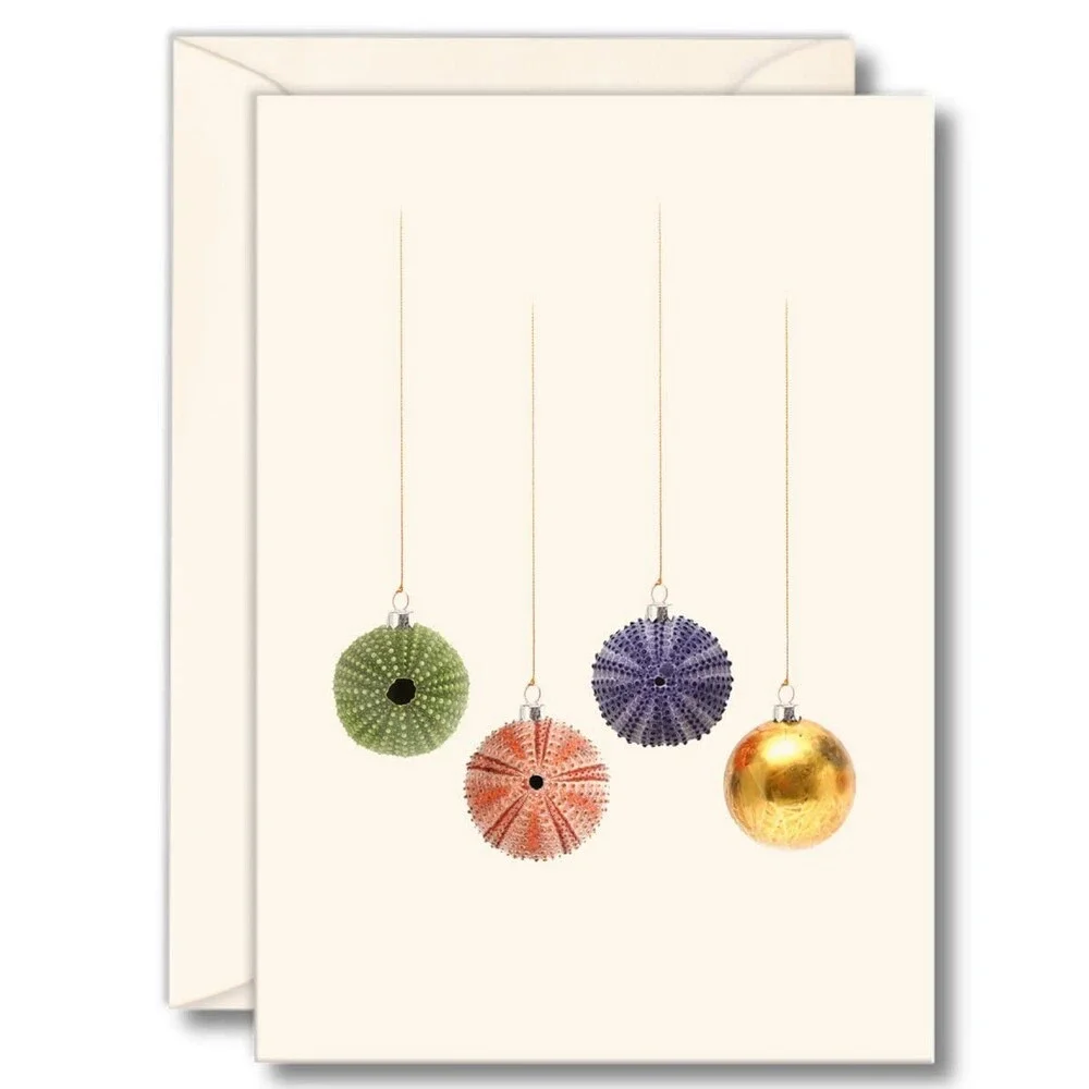 Earth Sky + Water - Sea Urchin Christmas Notecard Set - 8 Blank Cards with Envel